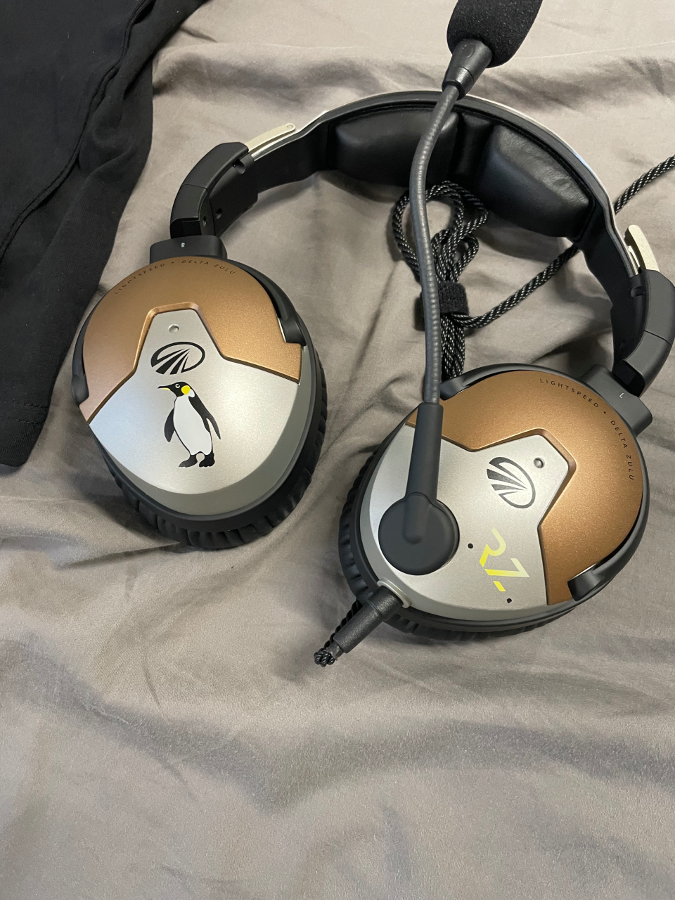 Headphones Rene Zelwinger
